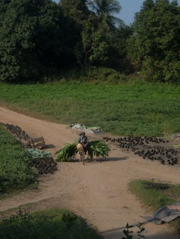 Cyclist transporting goods on a rural dirt road in Myanmar's countryside.